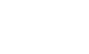 Descripción de la imagen 2